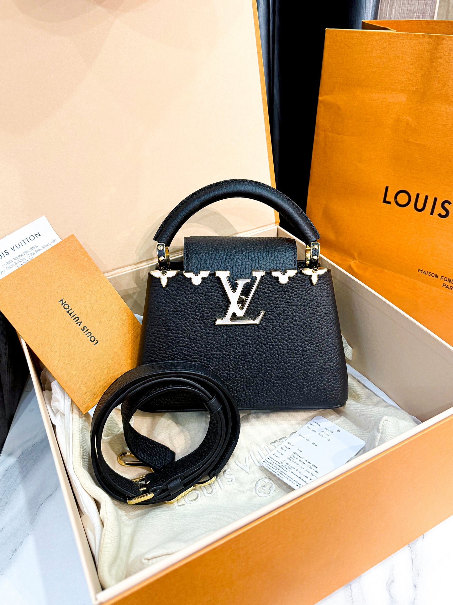 A A Capucines LV Mini