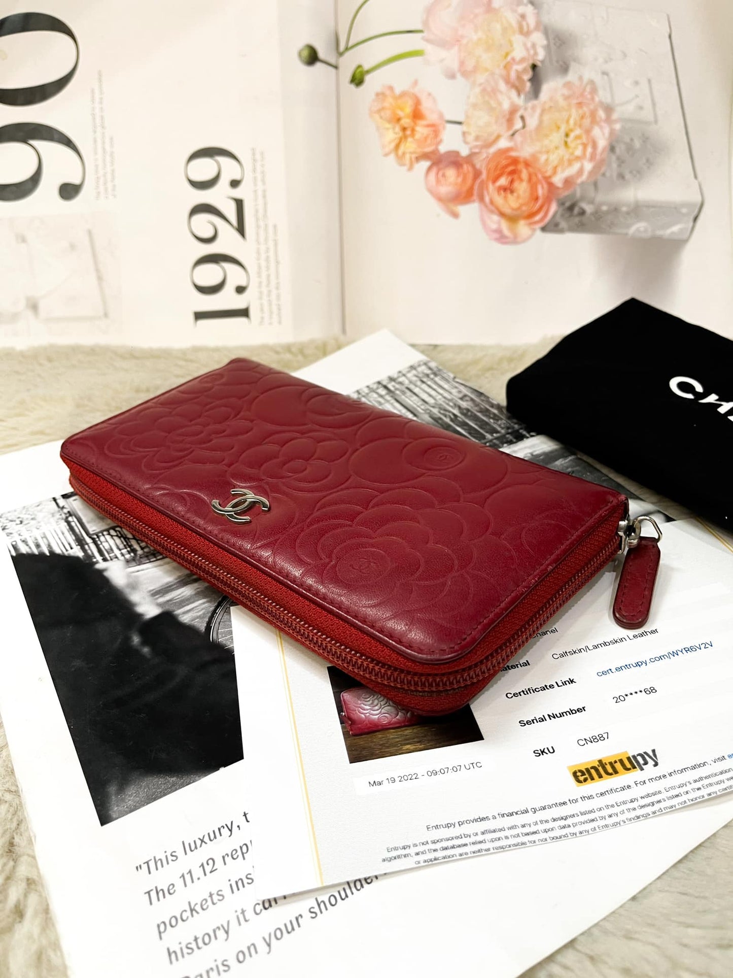 Zippy Chanel Hoa Trà Đỏ