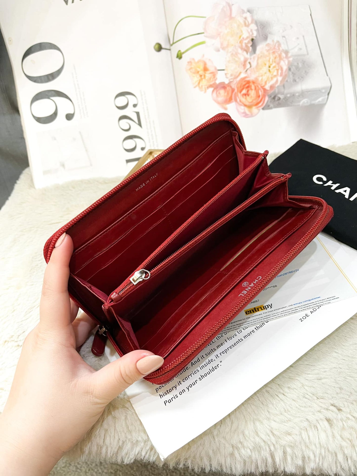 Zippy Chanel Hoa Trà Đỏ