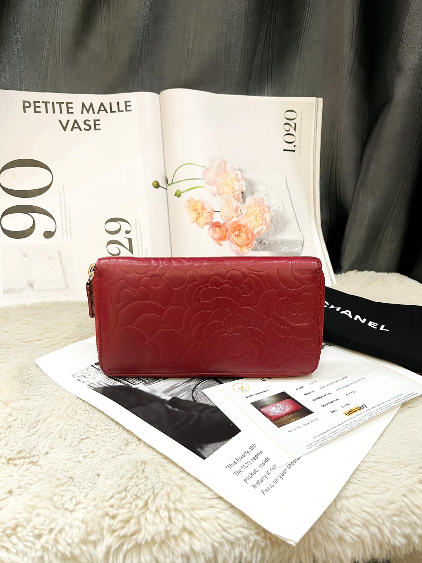 Zippy Chanel Hoa Trà Đỏ
