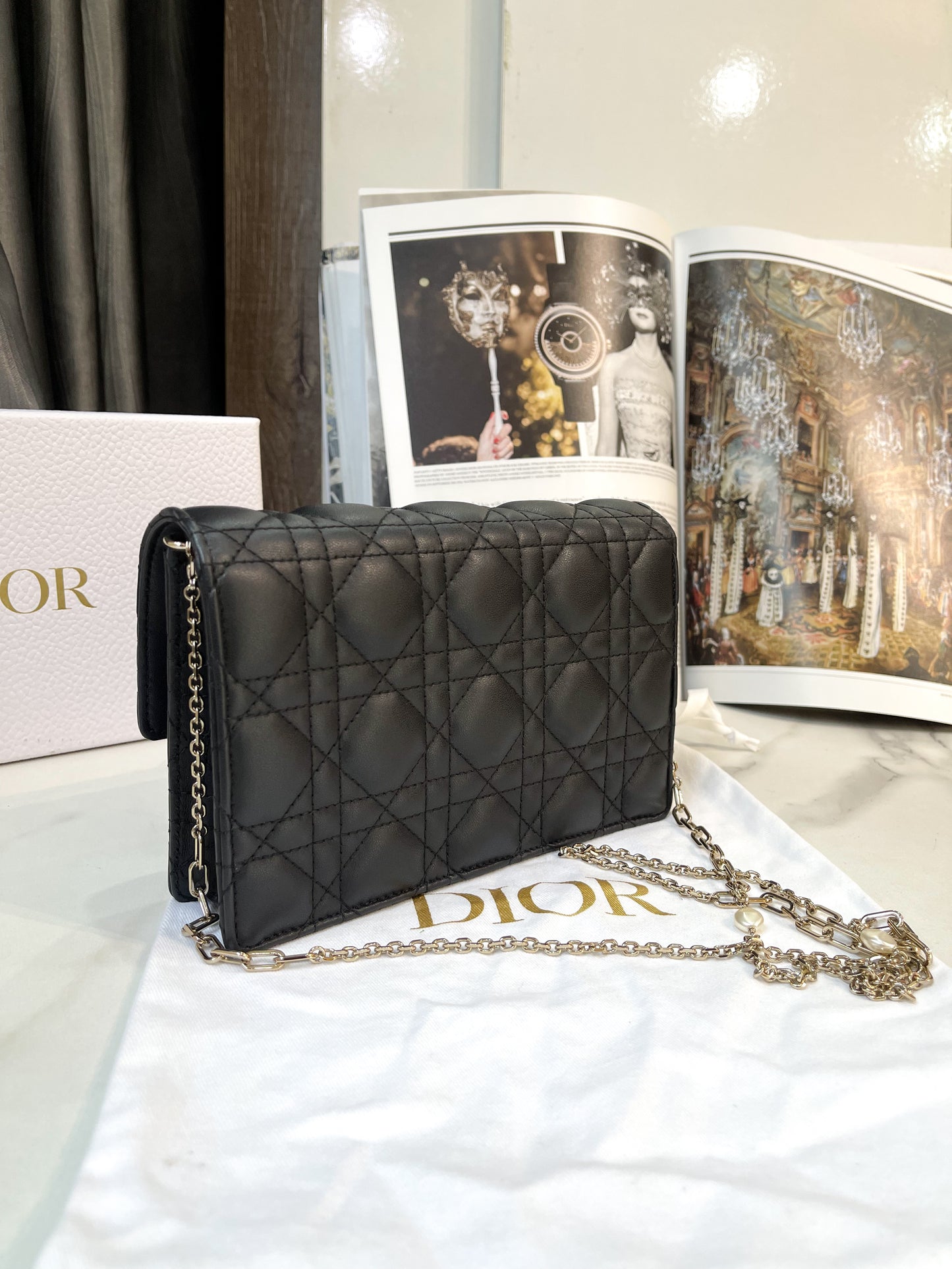 A Dior Chain Pouch