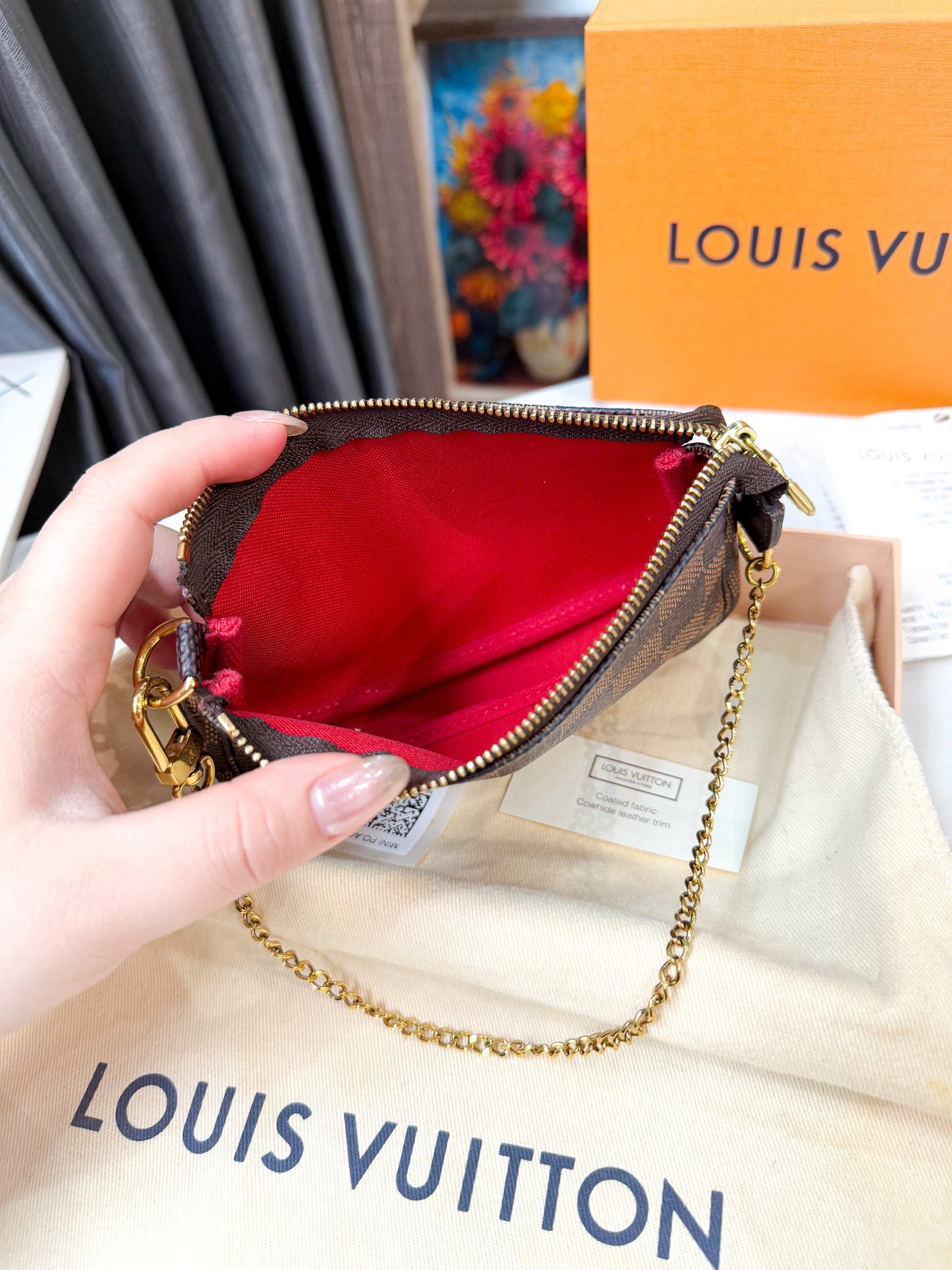 LV Pochette Mini Damier