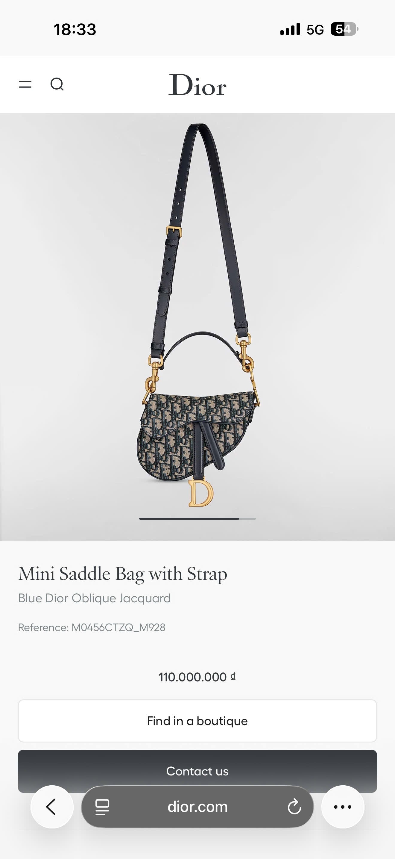 A A Dior Saddle Mini TV142