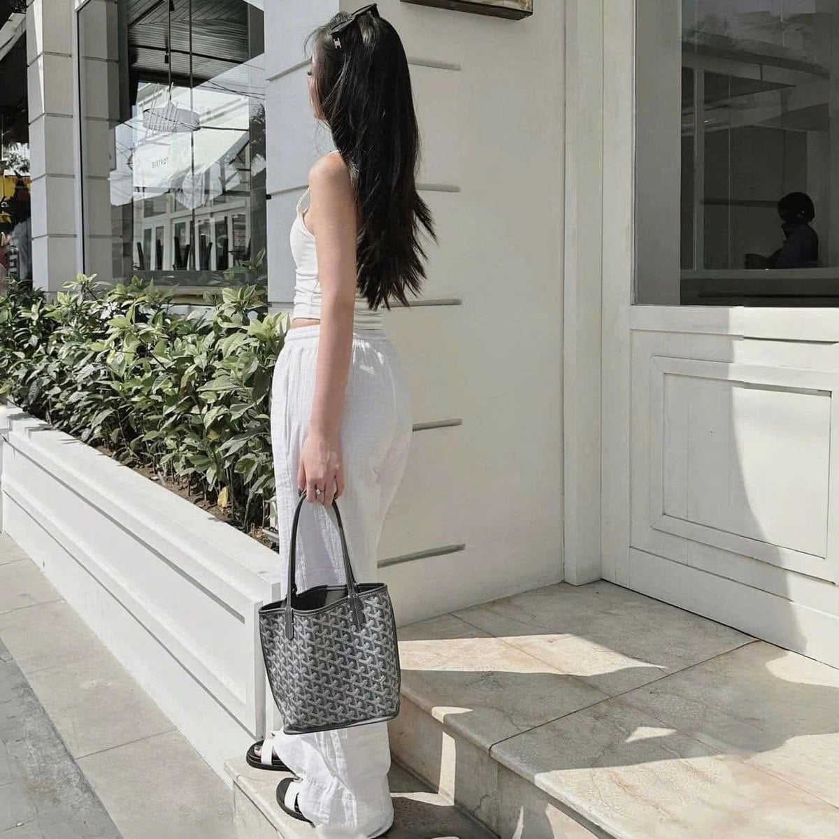 A A A Goyard Anjou Mini TV171