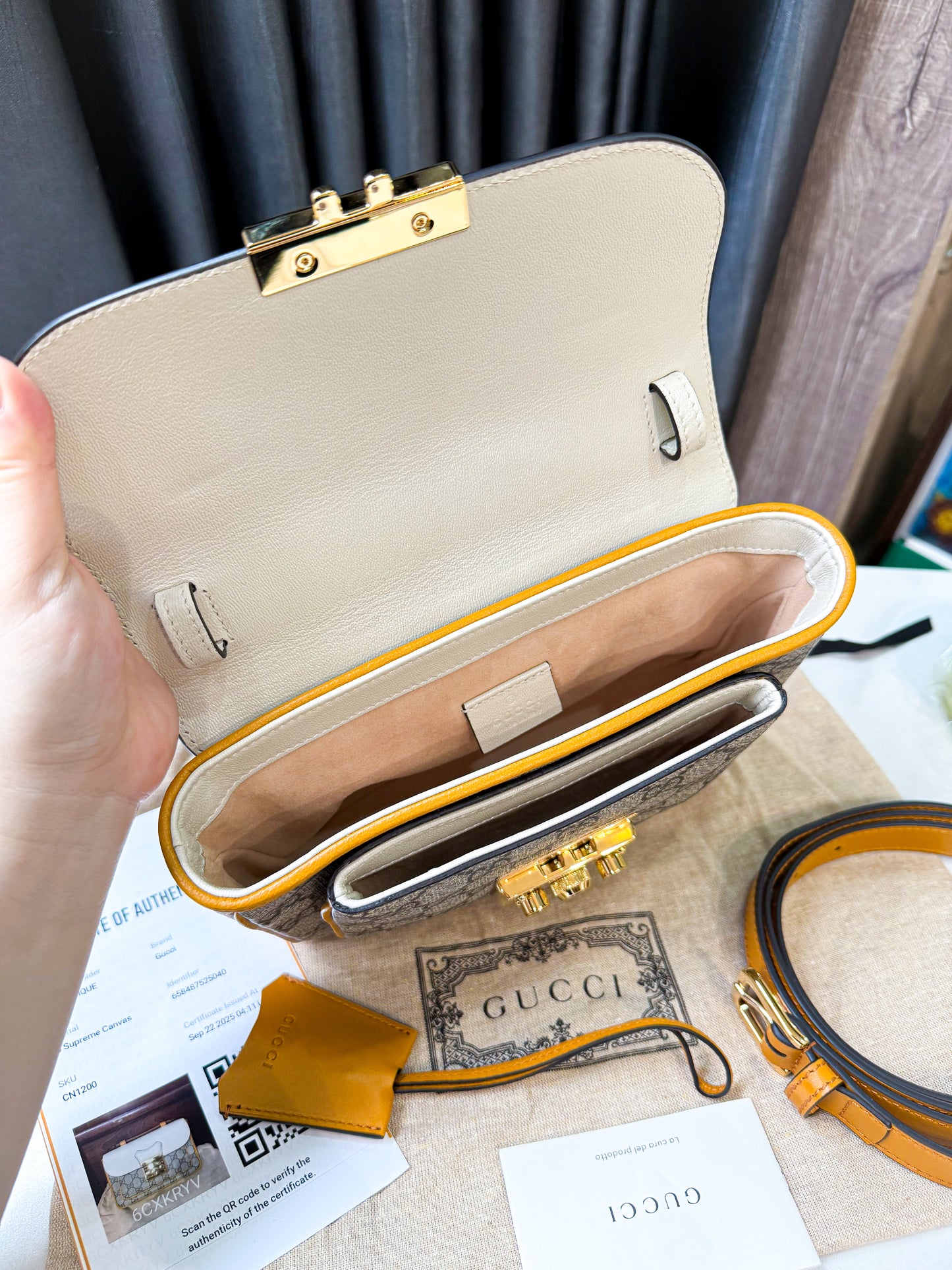 A A Gucci Padlock Phối Màu