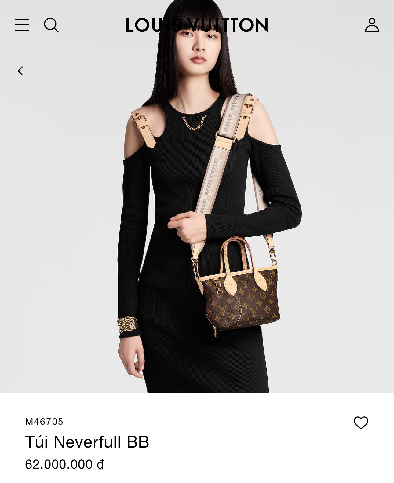 LV NVF BB