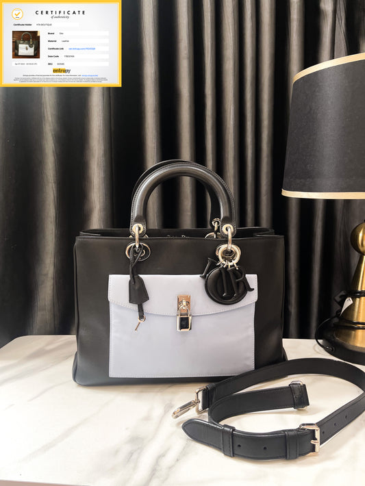 Dior Bag with 2 Color Mixes