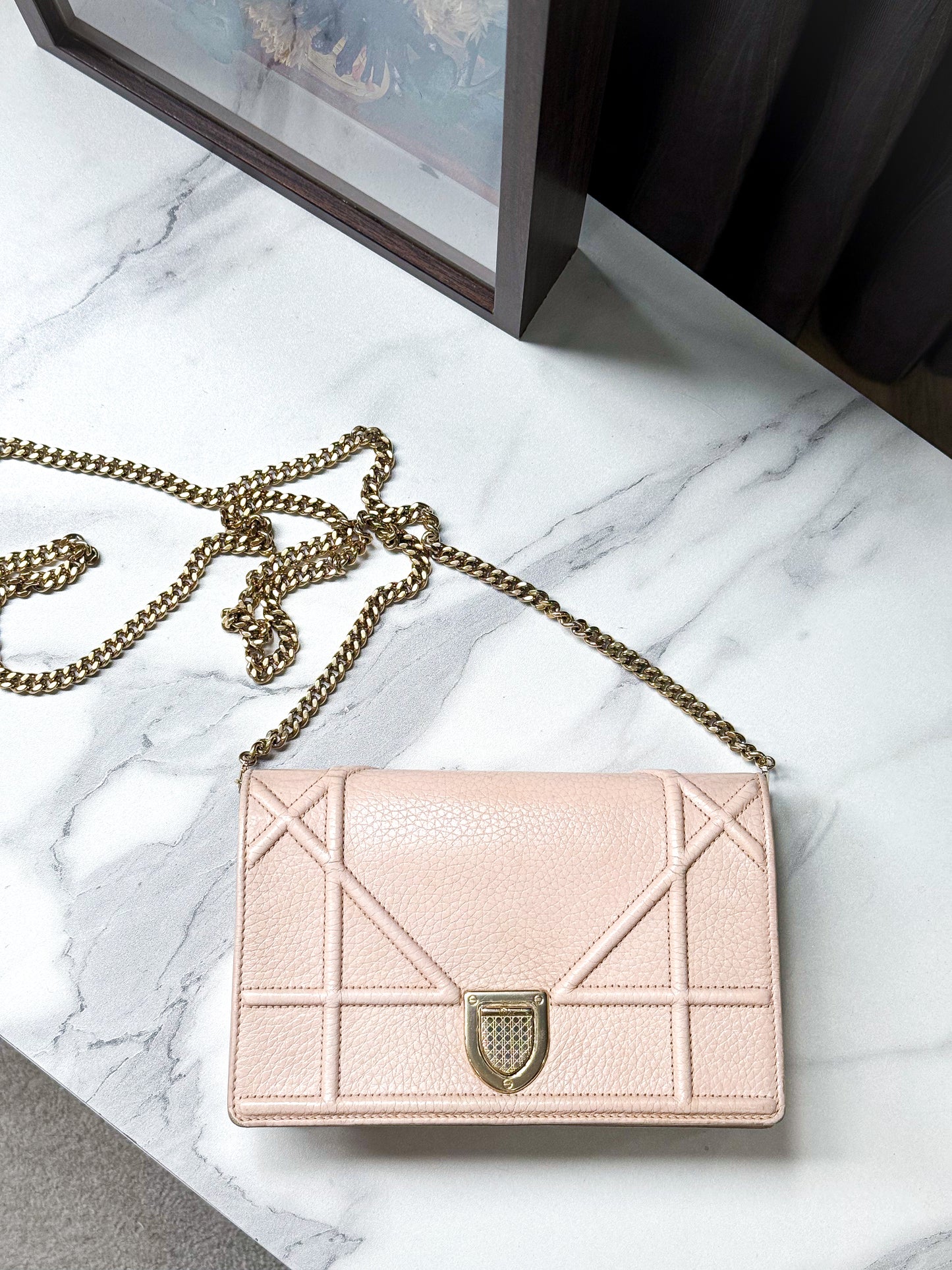 A Pouch Dior