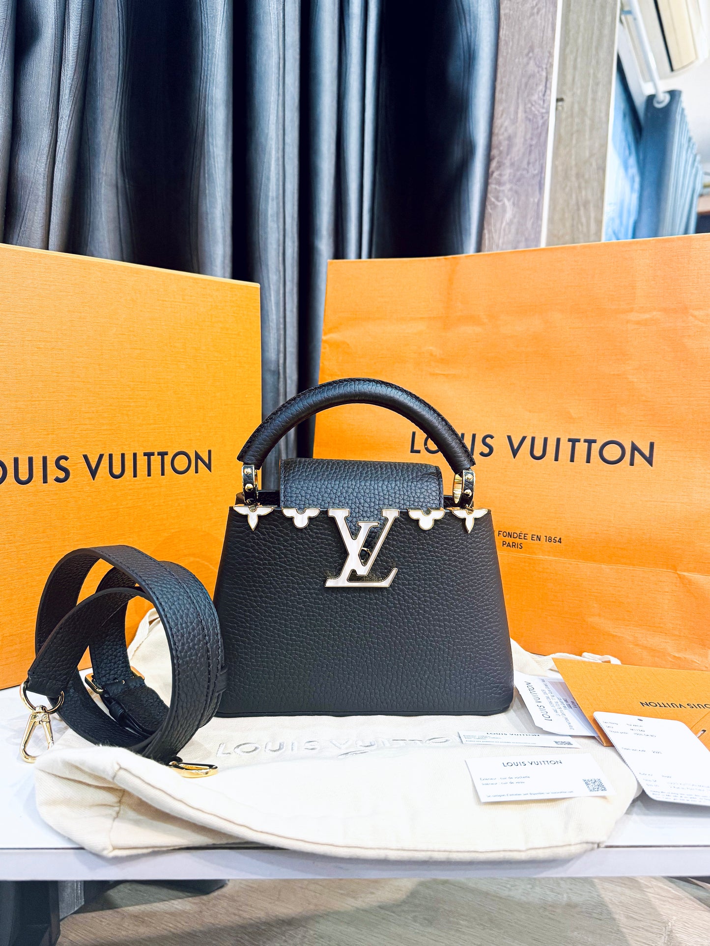 A A Capucines LV Mini