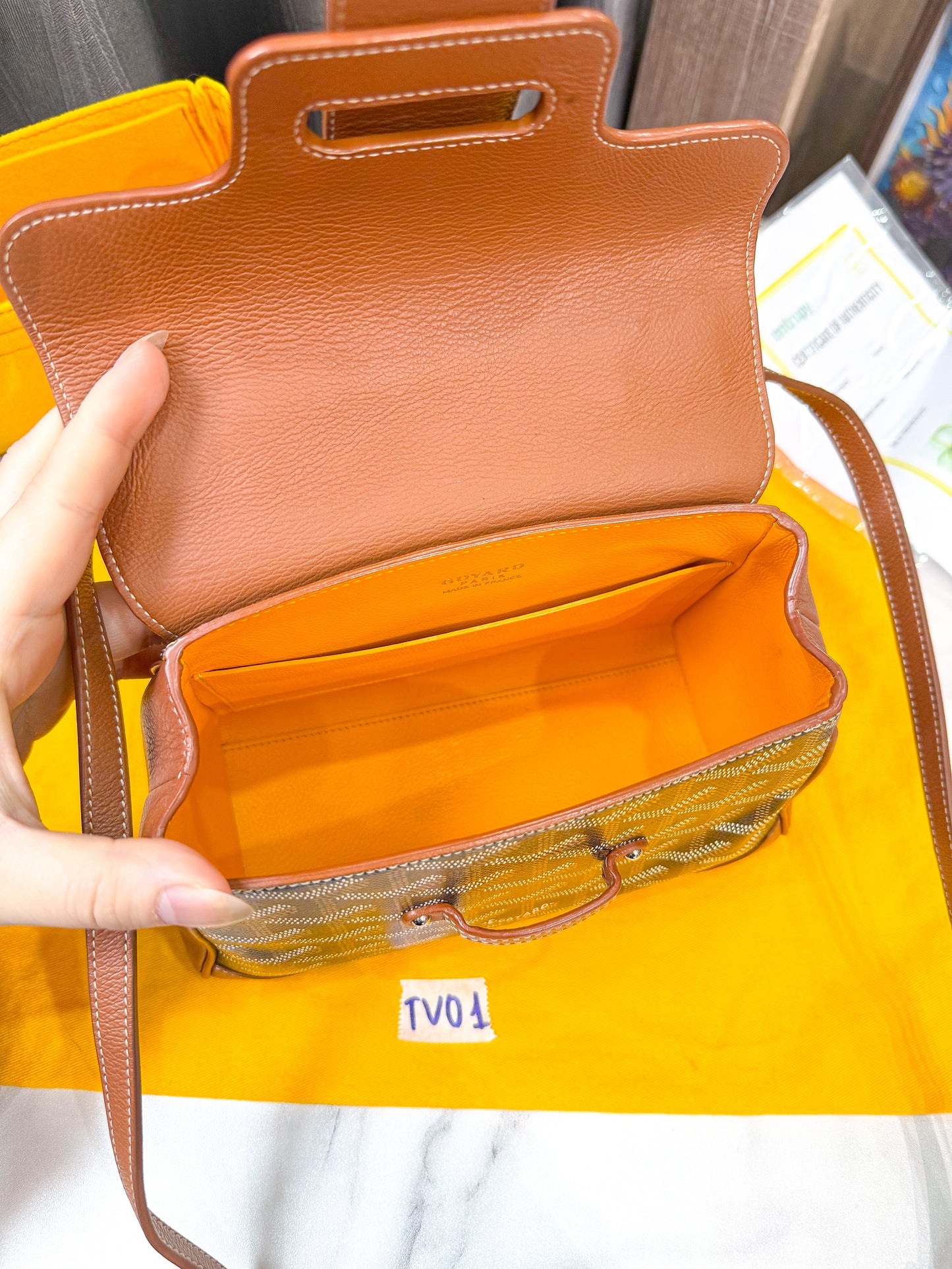 Goyard Saigon Mini TV01