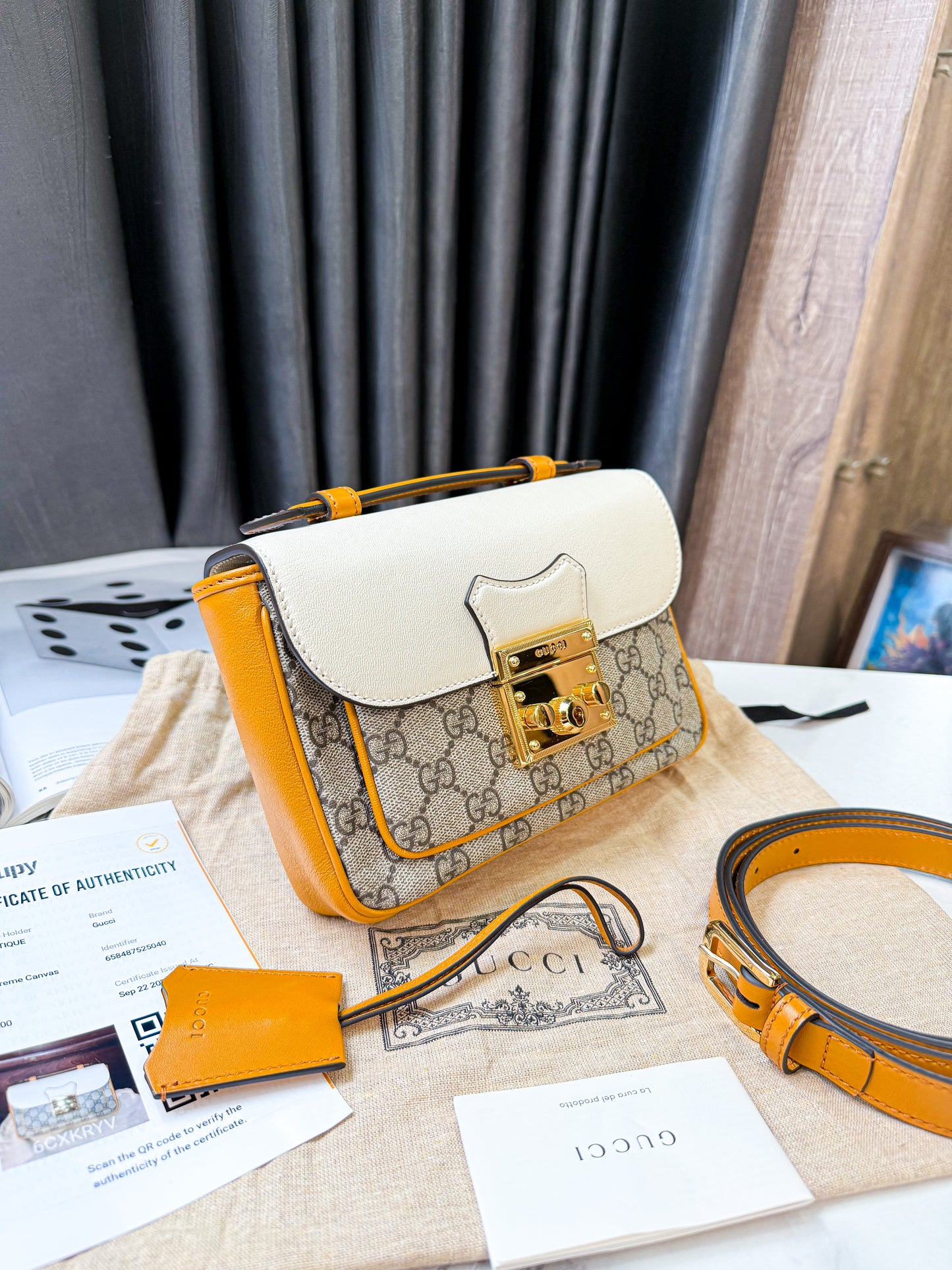 A A Gucci Padlock Phối Màu