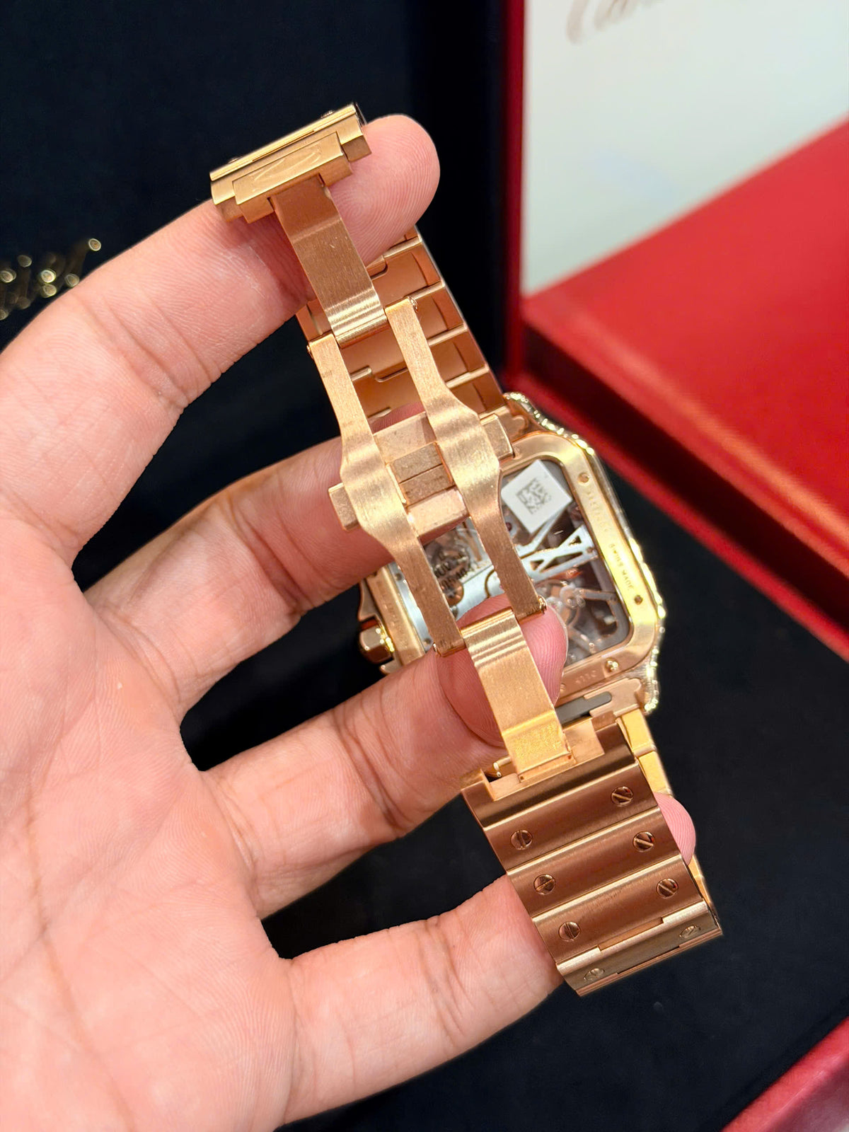 Cartier Santos de Cartier Skeleton WHSA0016