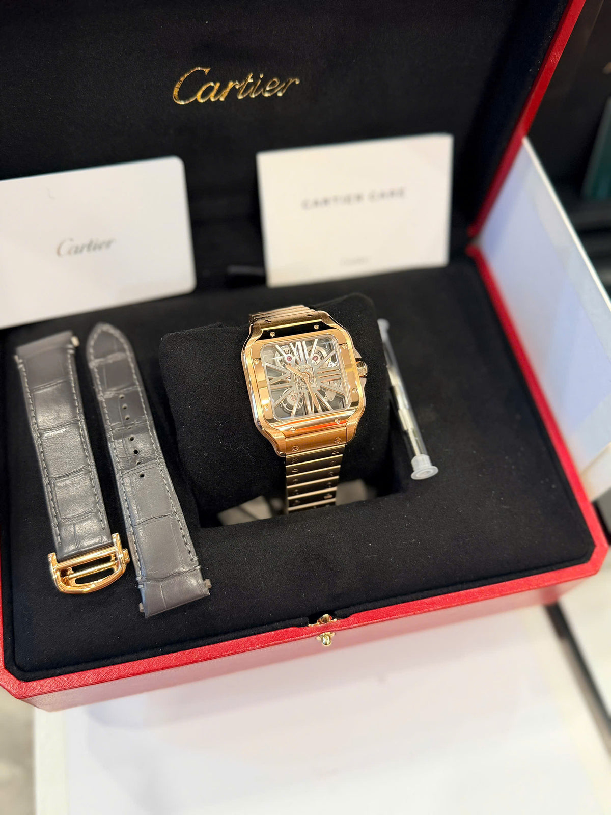 Cartier Santos de Cartier Skeleton WHSA0016