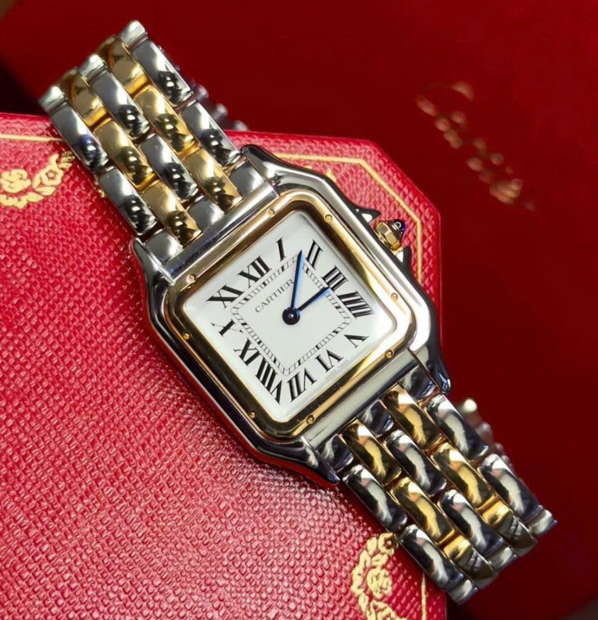 Cartier Panthère W2PN0019 Medium