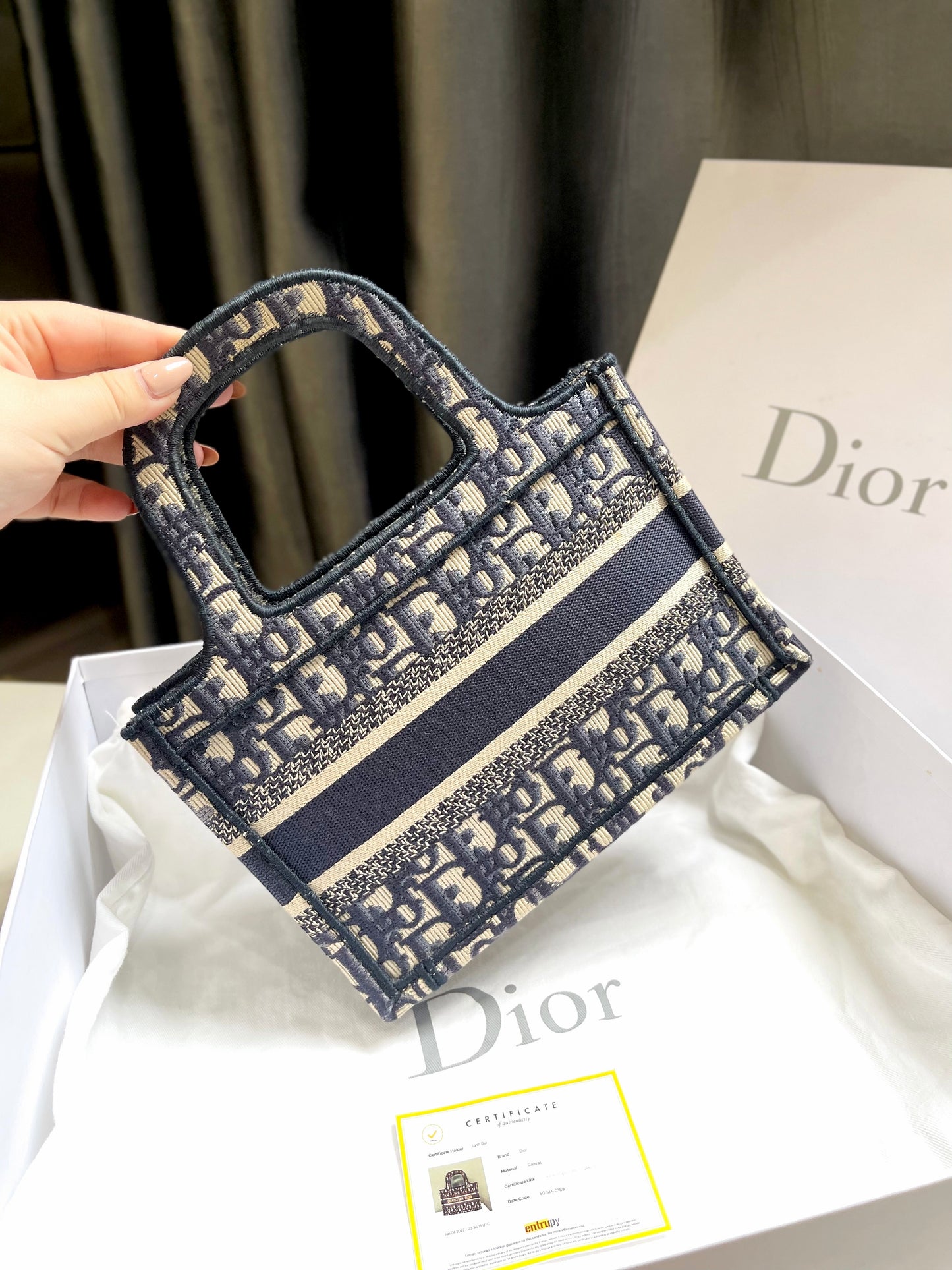 Book Dior Tote Size Mini