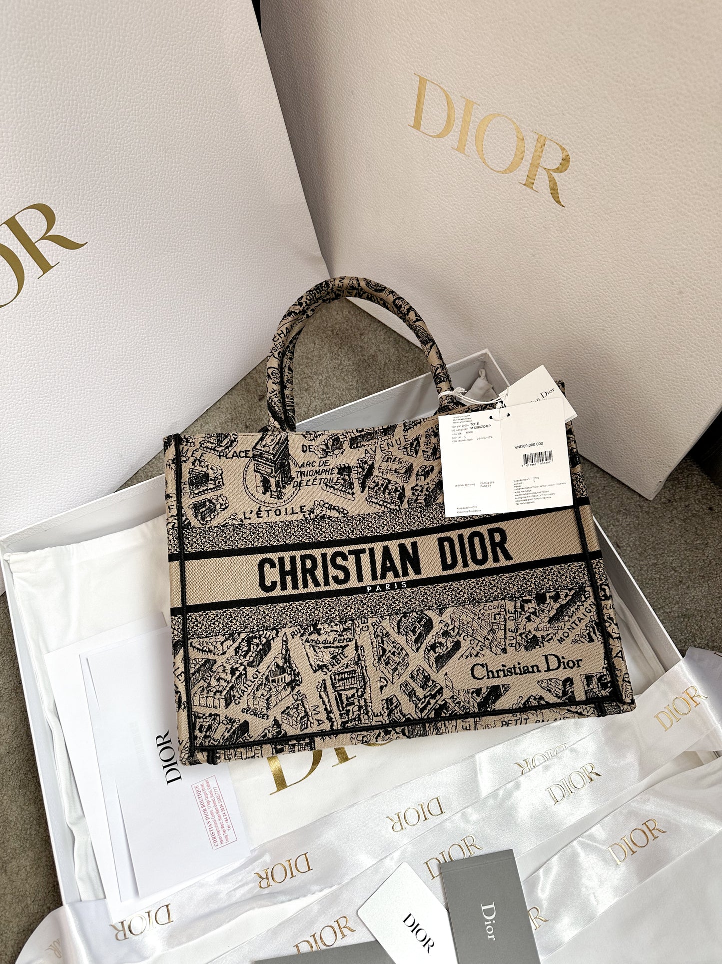 Dior Book Tote M