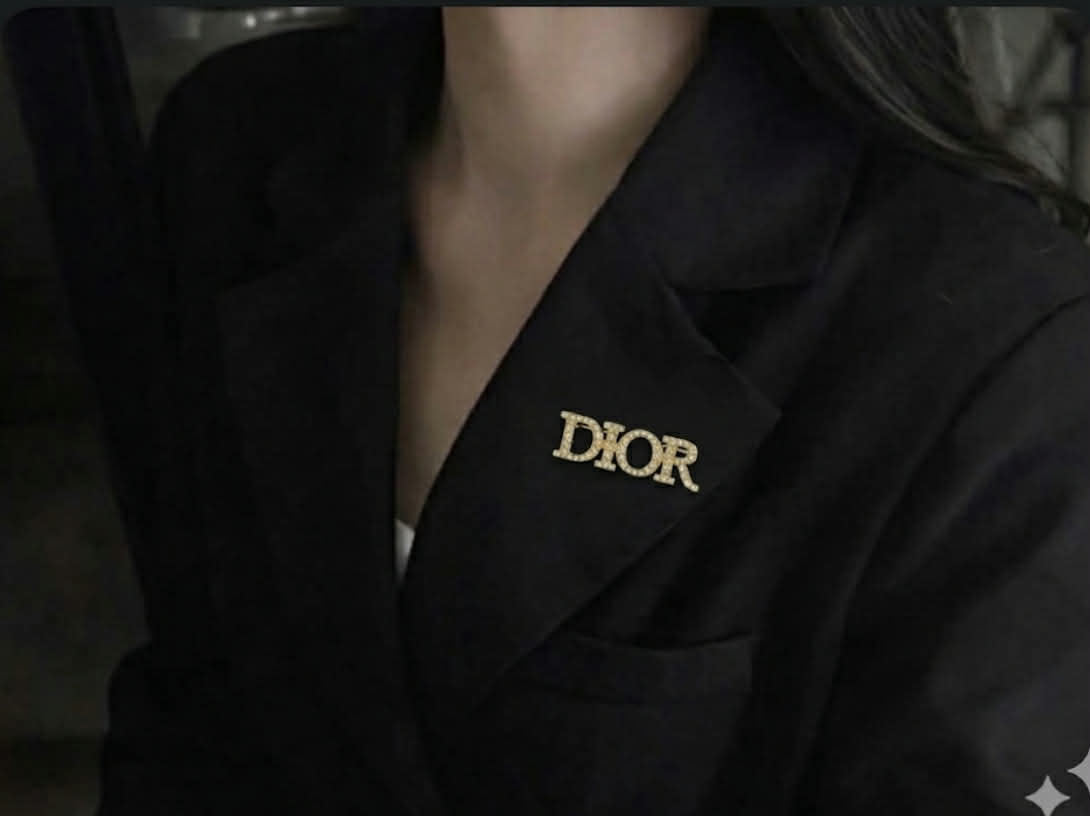 Cài Áo Dior New Trưng Bày D64