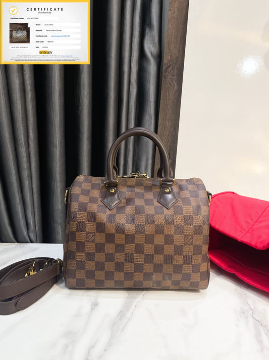 LV Speedy 25 Damier
