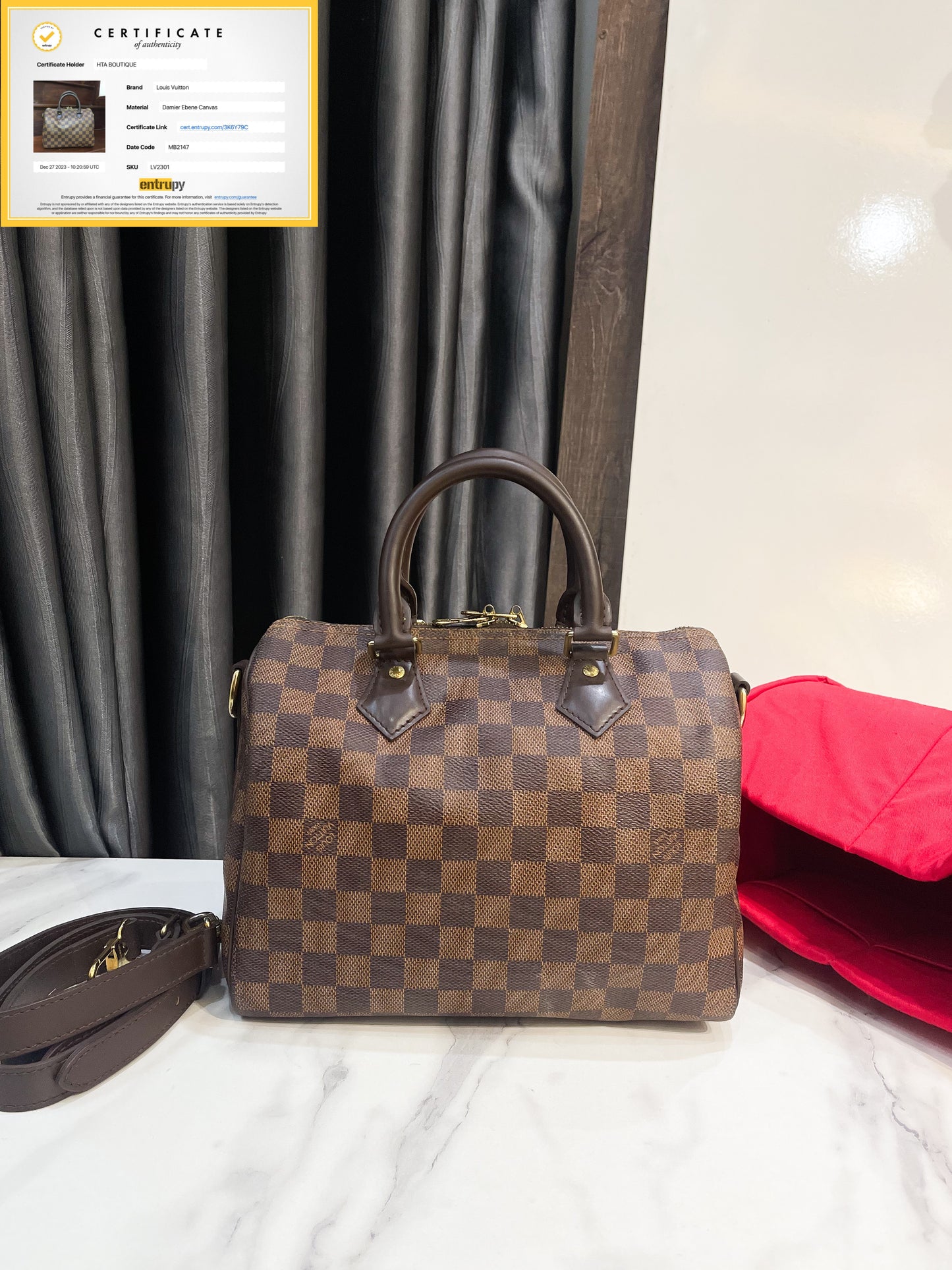 LV Speedy 25 Damier