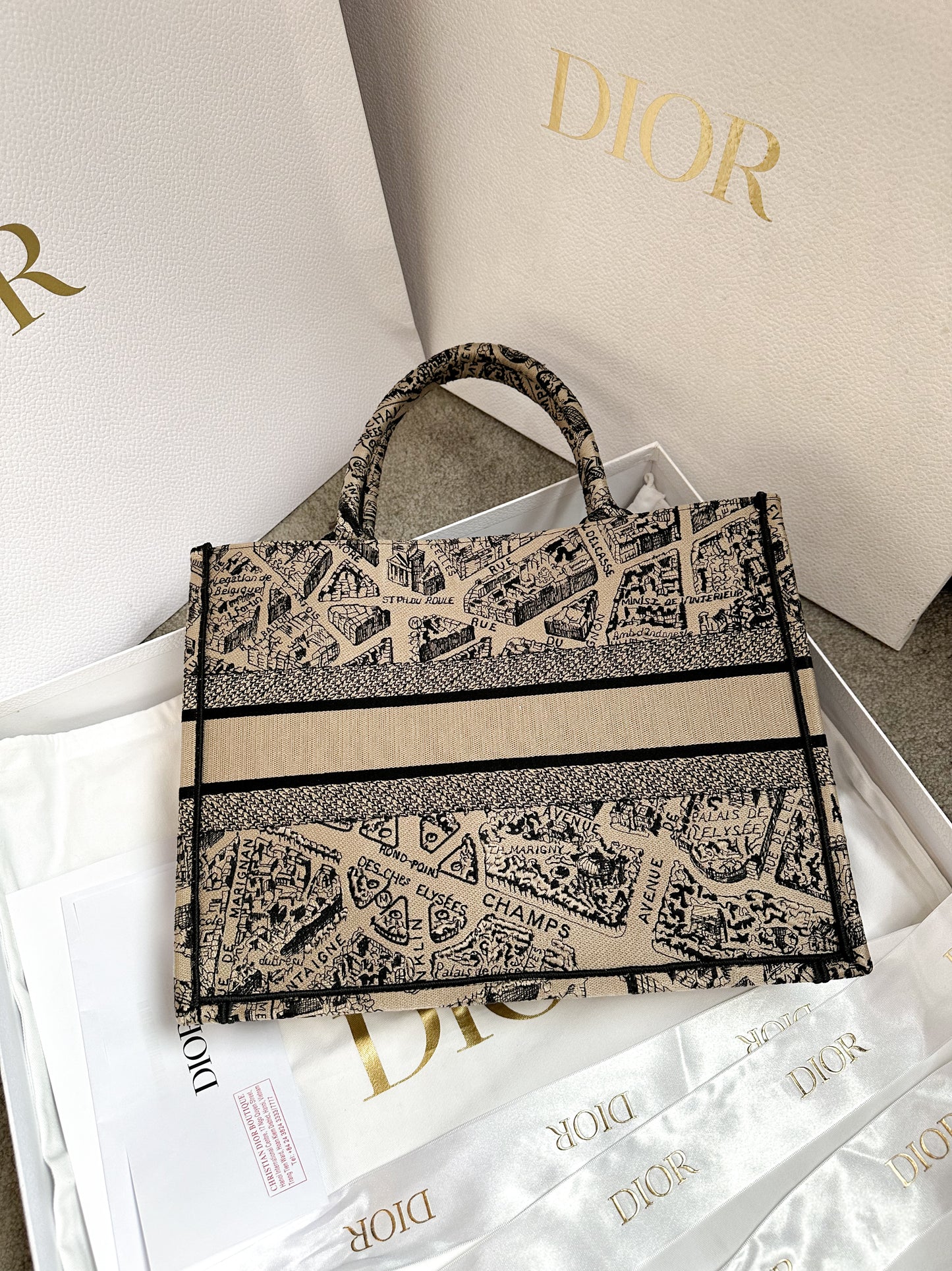 Dior Book Tote M