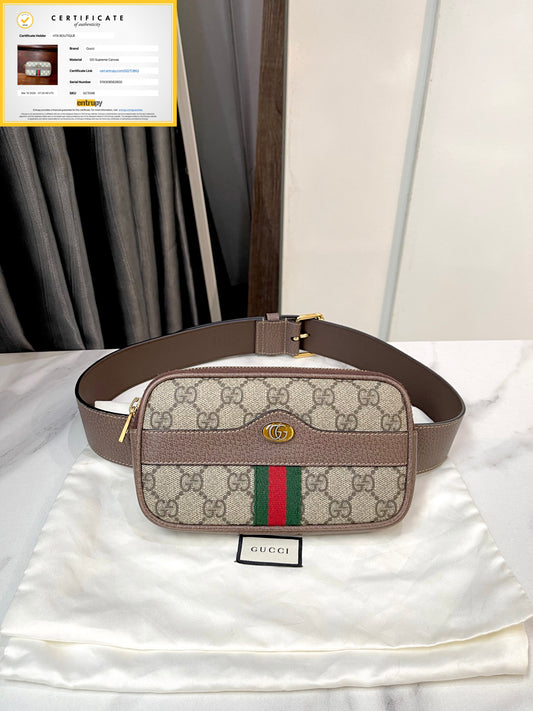 Belt Bag Gucci