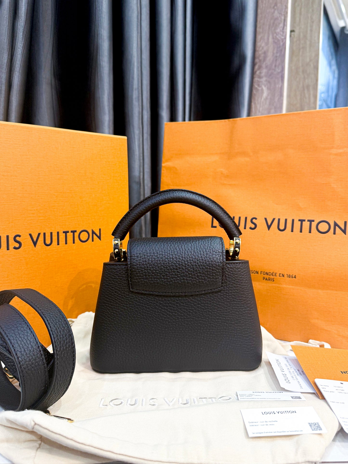 A A Capucines LV Mini