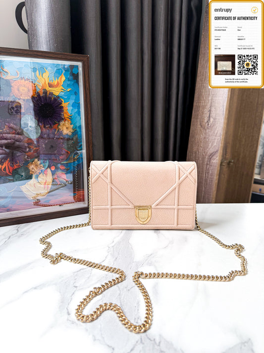 A Pouch Dior