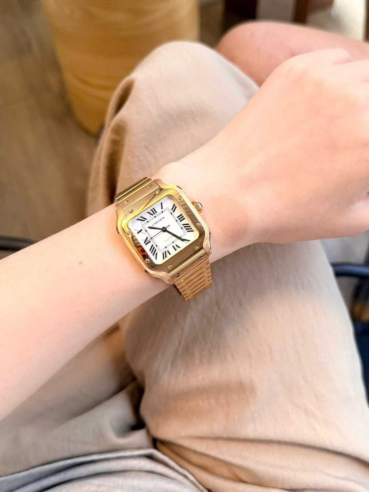Cartier Santos WGSA0030 trên tay