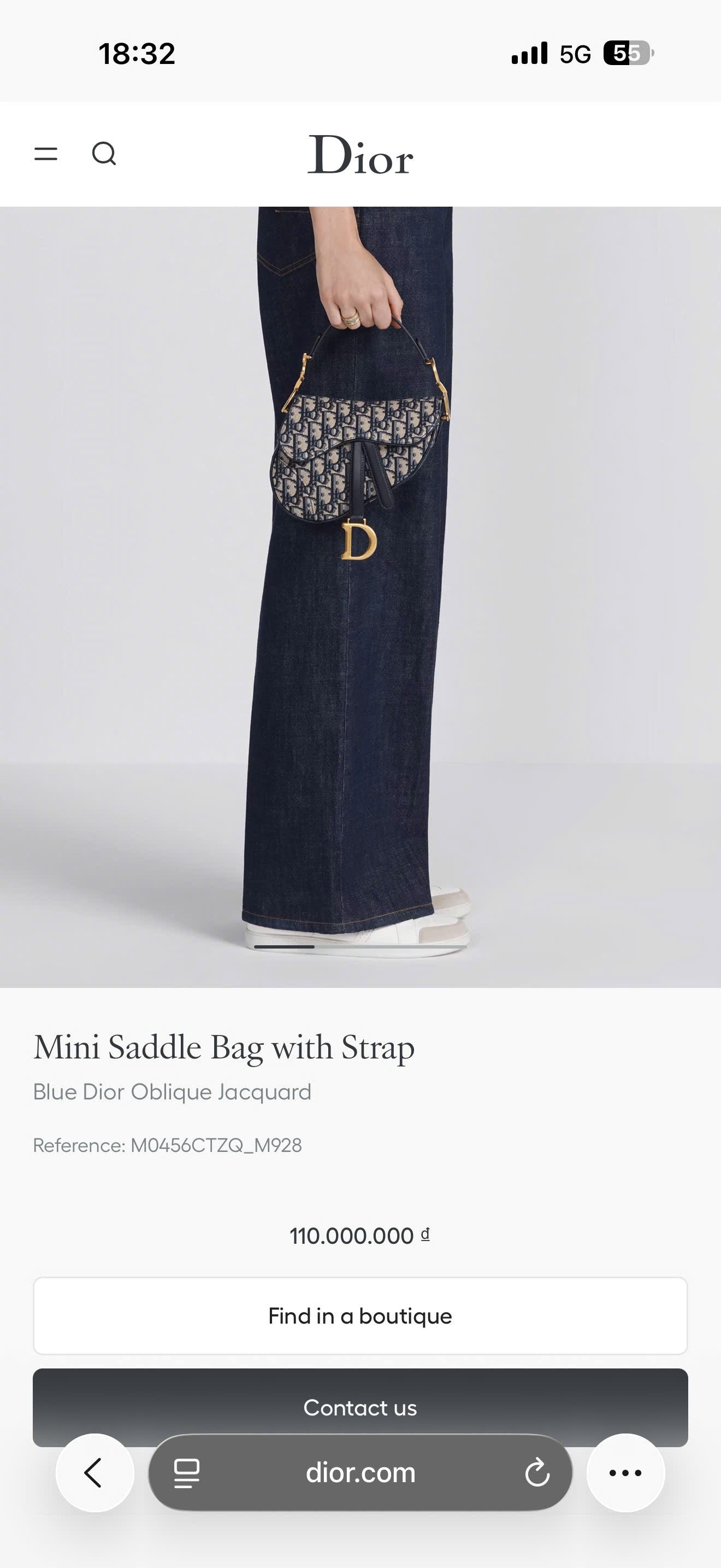 A A Dior Saddle Mini TV142