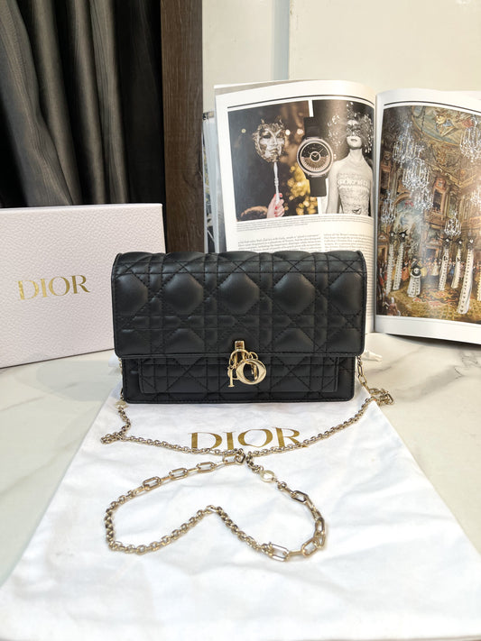 A Dior Chain Pouch