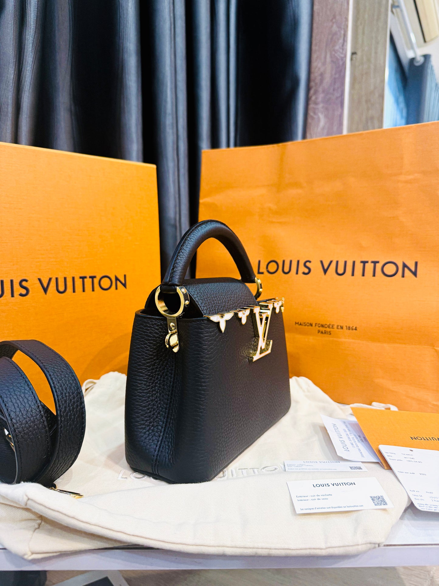 A A Capucines LV Mini