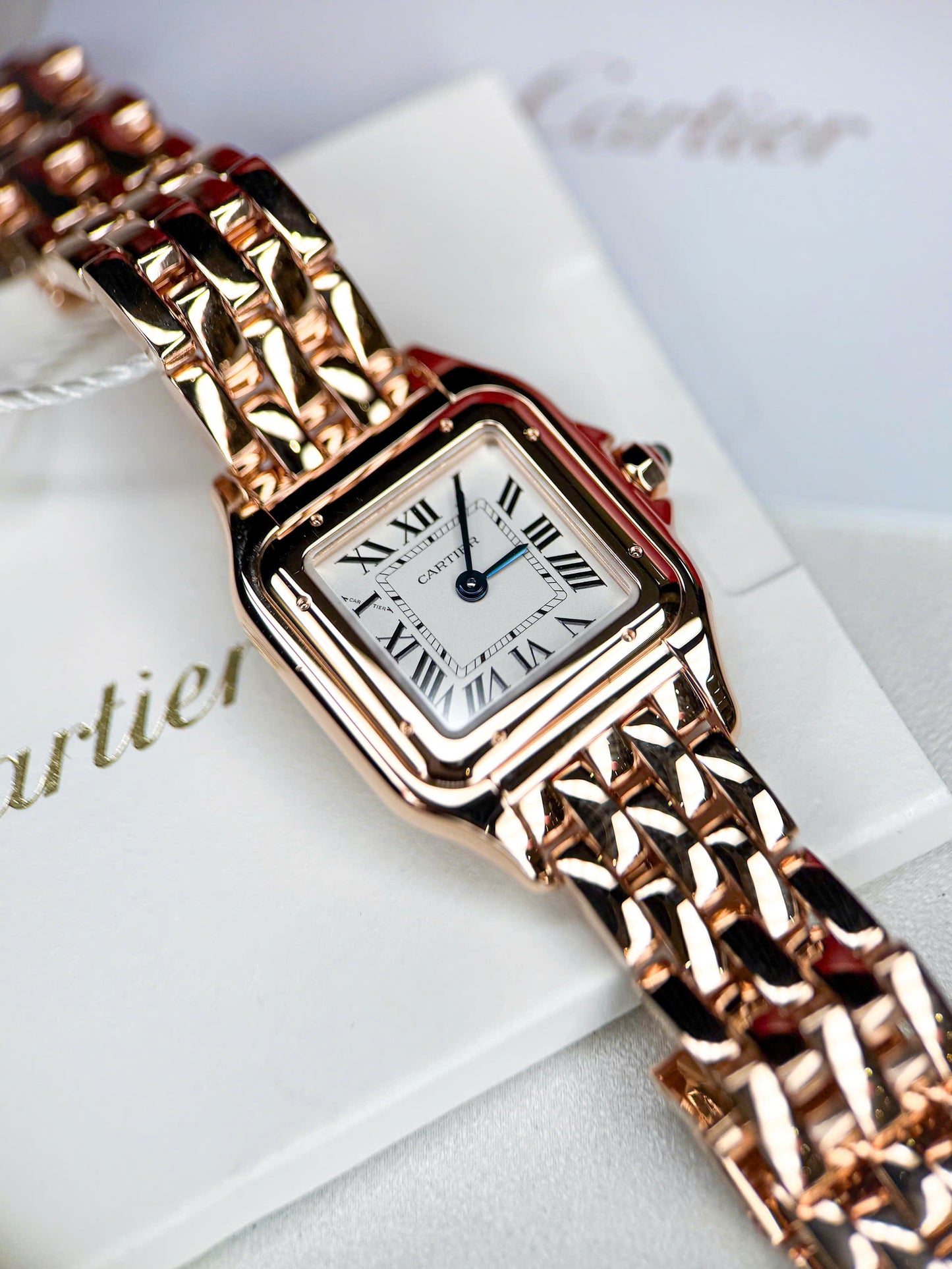Đồng Hồ Cartier Panthère de Cartier WGPN0006